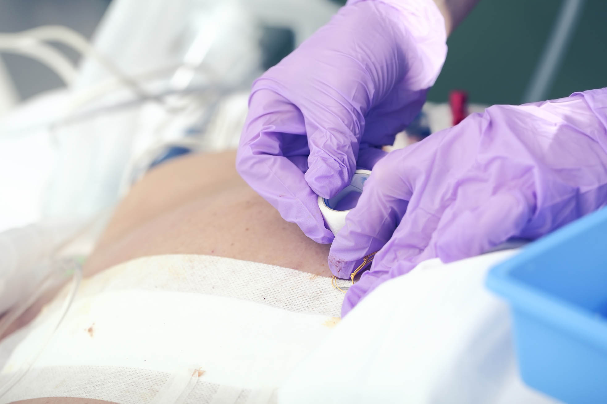 shutterstock_396523339_scaled